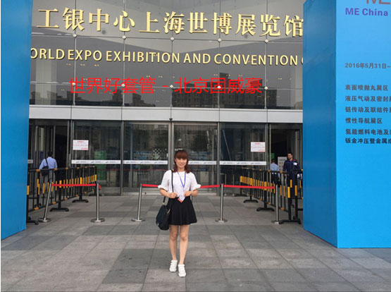 Shanghai International Exhibition